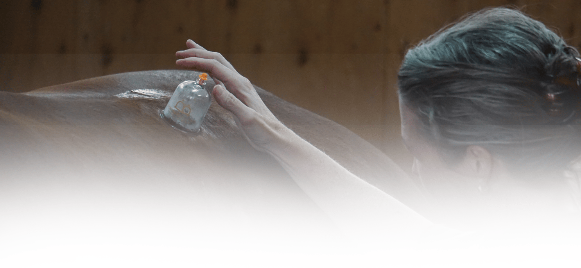 Equine Kneads Website Header-12-1 Equine Kneads Website Header-12-1