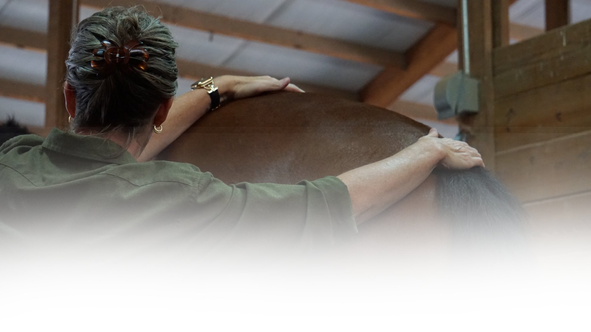 Equine Kneads Website Header-3