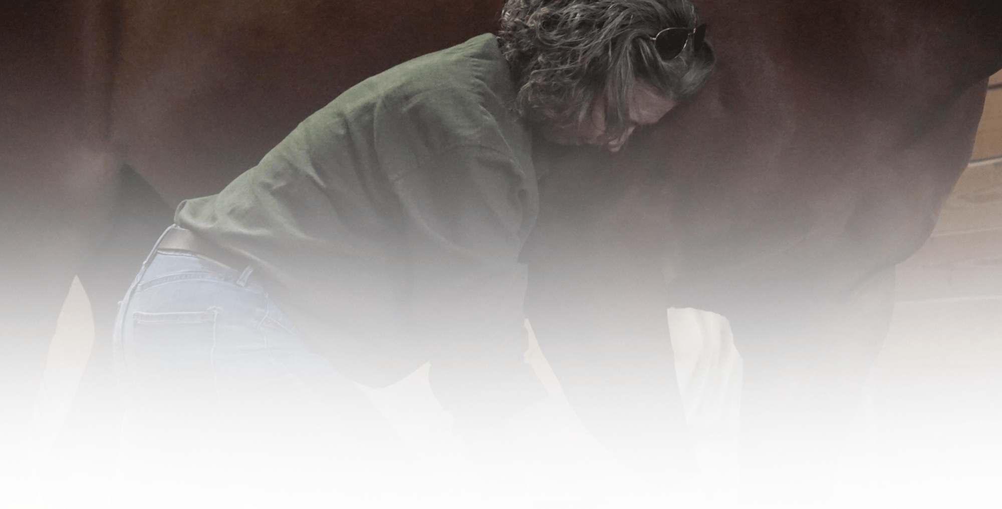 Equine Kneads Website Header-9-1