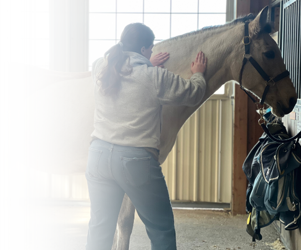 Equine Kneads Website Images - Med Rectangle-11