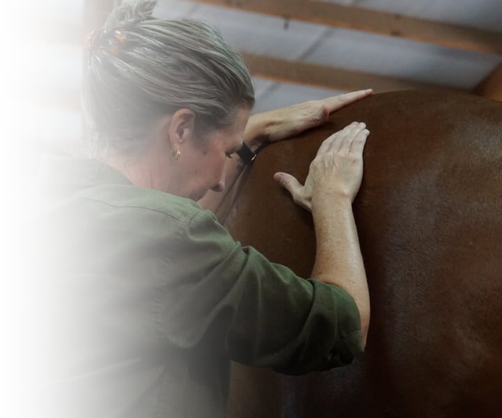 Equine Kneads Website Images - Med Rectangle-2