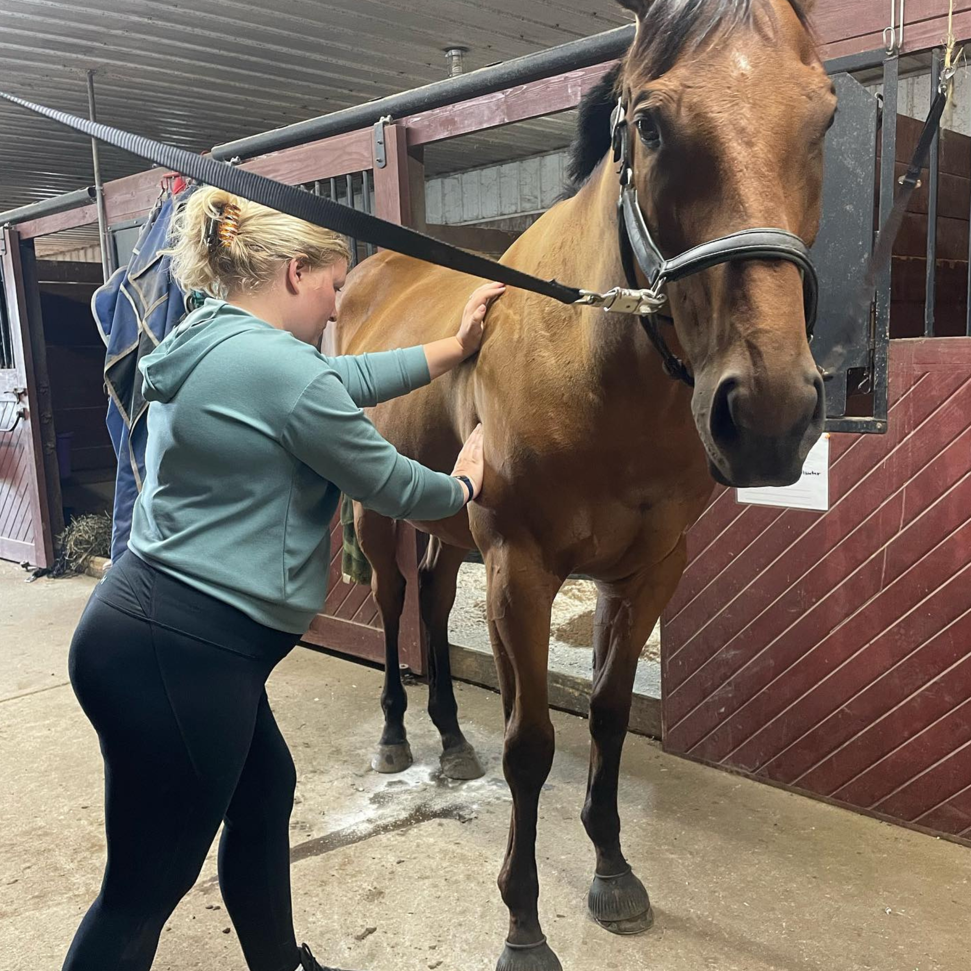 Equine Kneads Website Images - Square-3