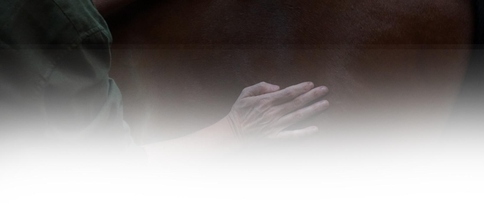 Equine Kneads Website Header-2-1