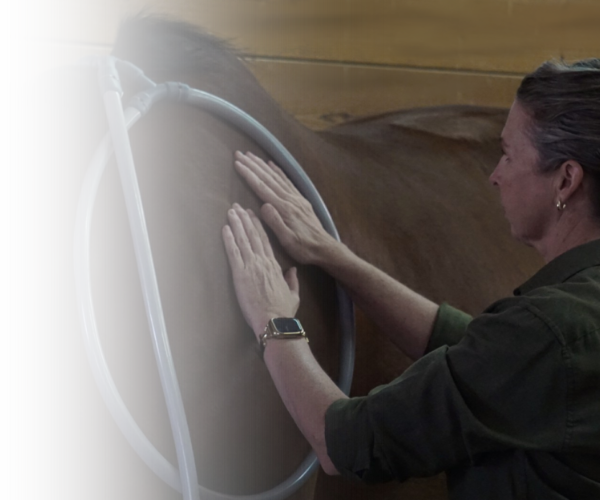 Equine Kneads Website Images - Med Rectangle-19