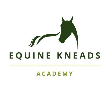 Equine Kneads Website Images - Med Rectangle-21