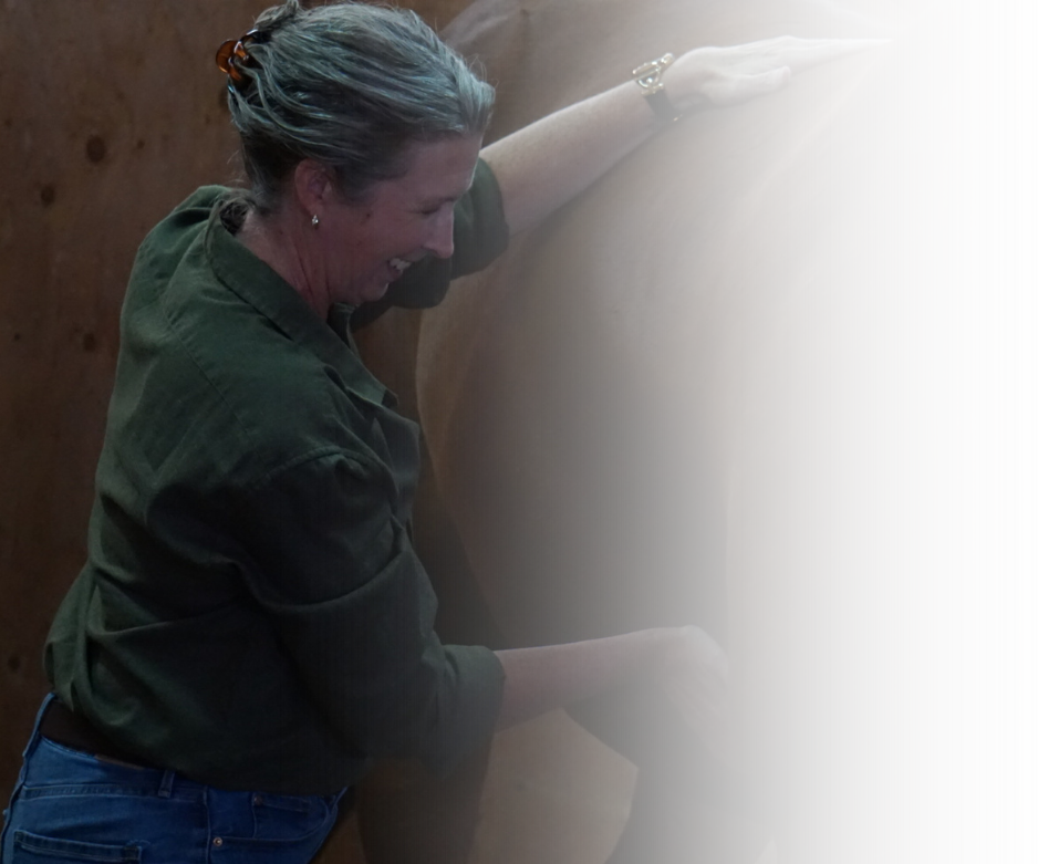 Equine Kneads Website Images - Med Rectangle-5