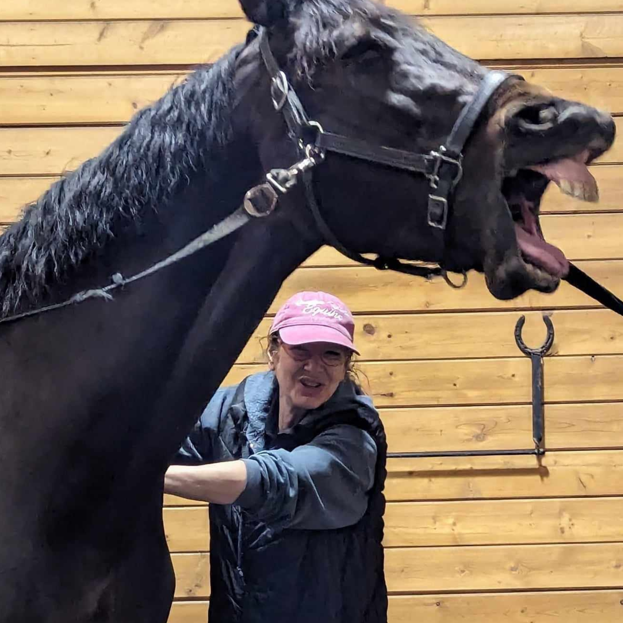 Equine Kneads Website Images - Square-2